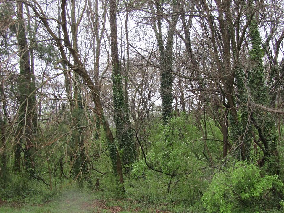 1st image of 5171 Starmount Rd