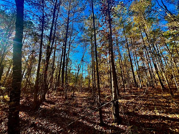 5th image of Light Plant Rd Lot Wp001