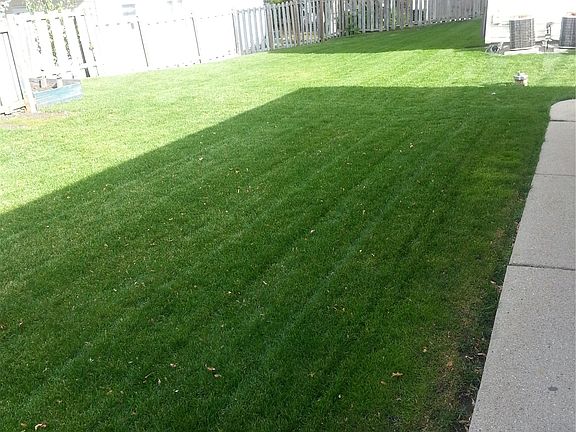 yard