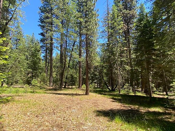 5th image of 3-E-29 Red Fir Rd