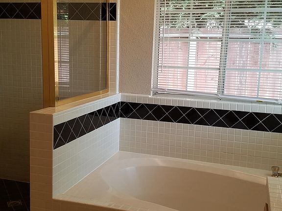 Master Tub & Shower