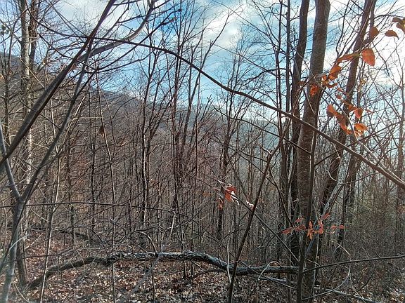 5th image of 1500 Bear Mountain Rd