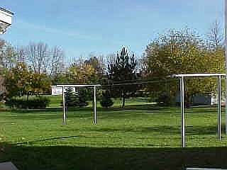Large backyard