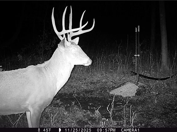 3rd image of 37795 Sheep Skin Ridge Rd