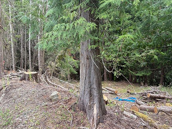 5th image of 2602 Gunwhale Rd