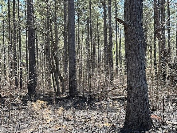 4th image of 000 Faust Farm Rd