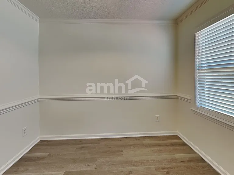 1407 Hyalyn Springs Ct — Photo 4