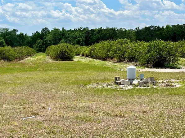 1299 ALEC HENDRY ROAD LOT 0000, WAUCHULA, FL 33873