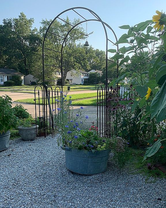 South side of house patio