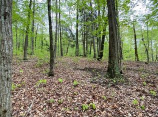 680 N Pointe Trl, Allons, TN 38541