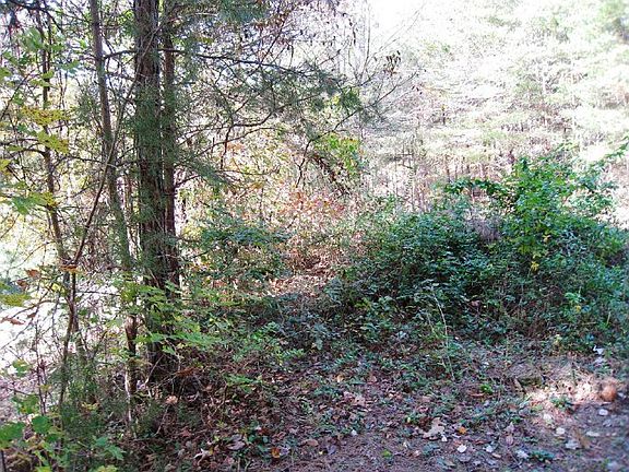 4th image of 165 Hy Cobb Dr