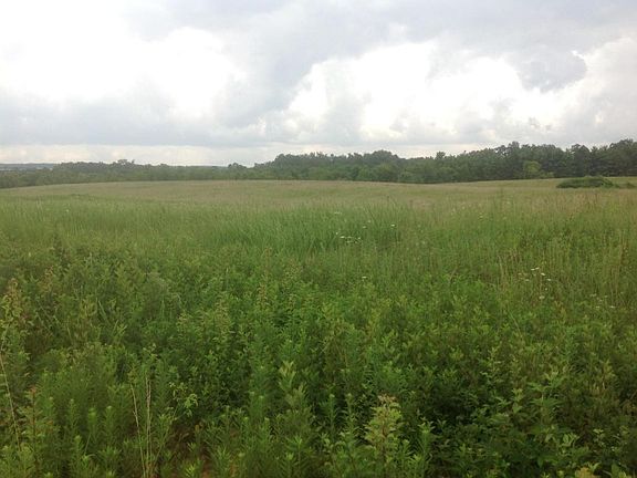2nd image of Ofc Old Jamestown Hwy