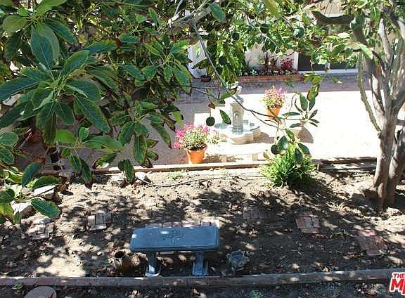 5th image of 31769 Cottontail Ln