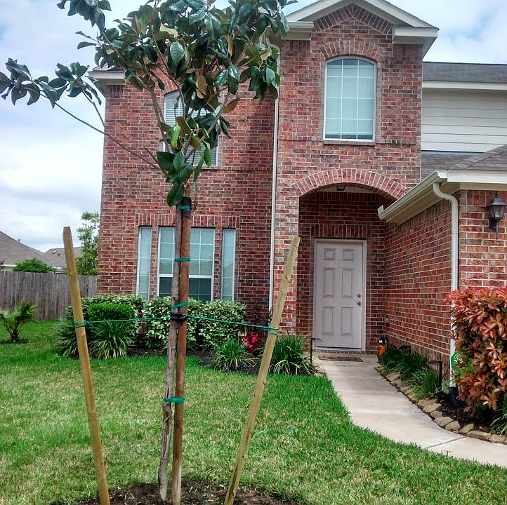 1st image of 24602 Colonial Birch Ln