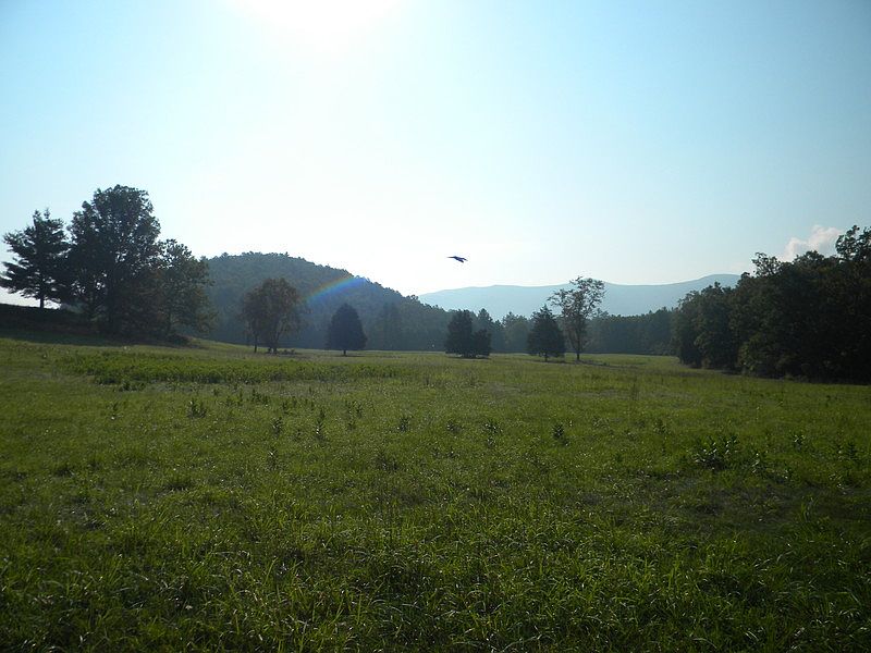 1st image of 250 Tranquil Ln