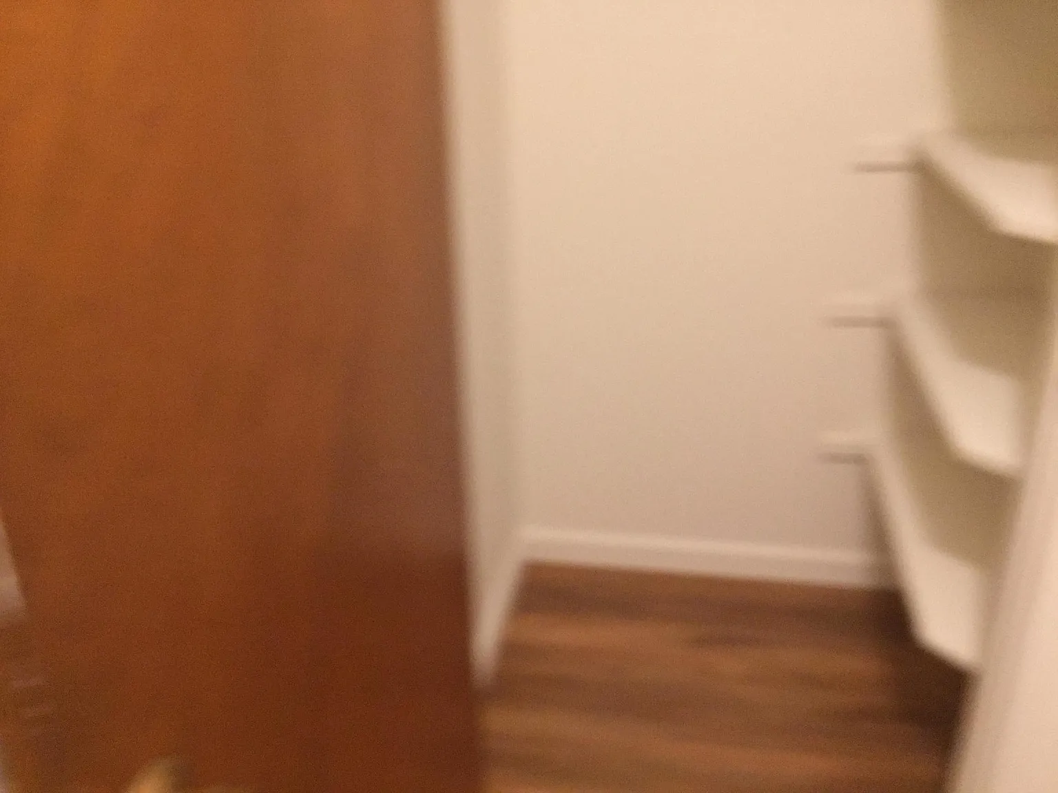 1 bed, 750 sqft, $2,600 — Photo 4