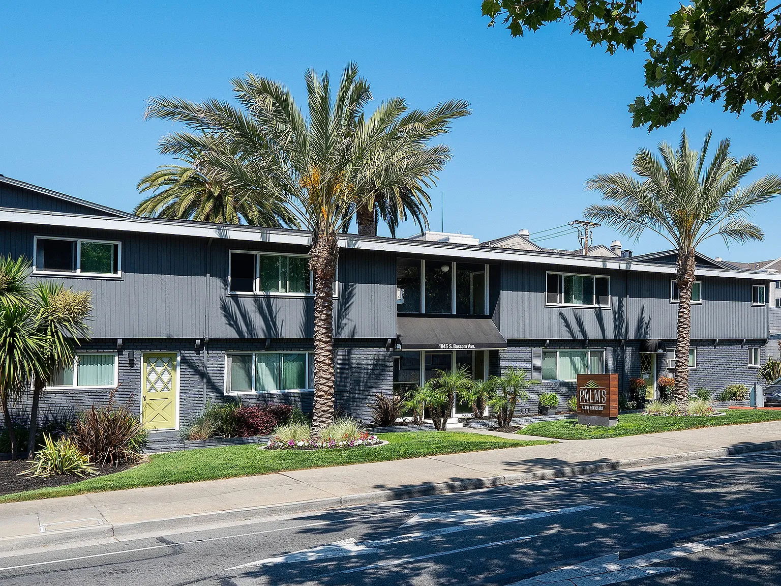 Palms at the Pruneyard — Photo 3