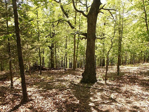 3rd image of Beaverview Dr