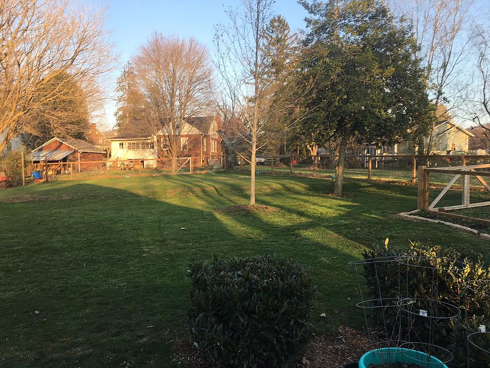 view from back porch