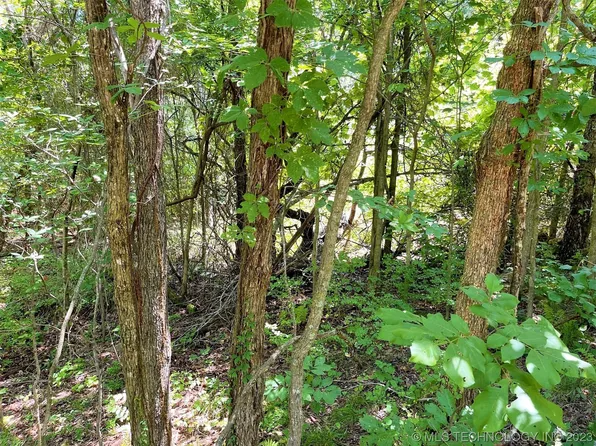 S Harbor Dr, Park Hill, OK 74451