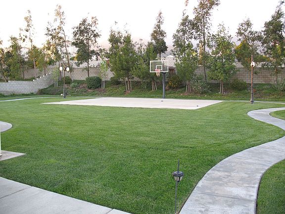 1/2 acre: Plenty of room for that pool, or Cabana