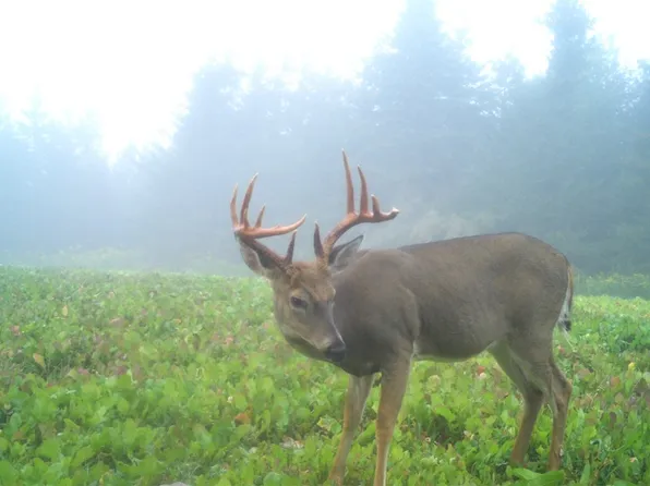 688 Silk St, Newark Valley, NY 13811