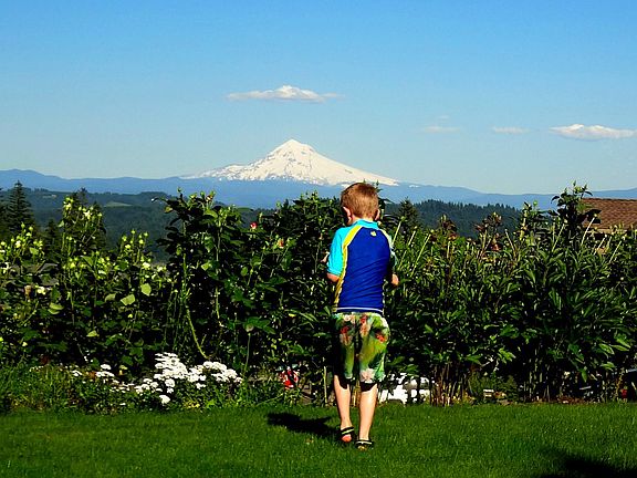 Mt Hood view from Front Yard. Landscaping provides full screening from neighbors.
