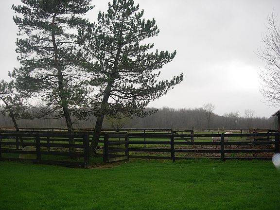 Situated on 10 lovely acres