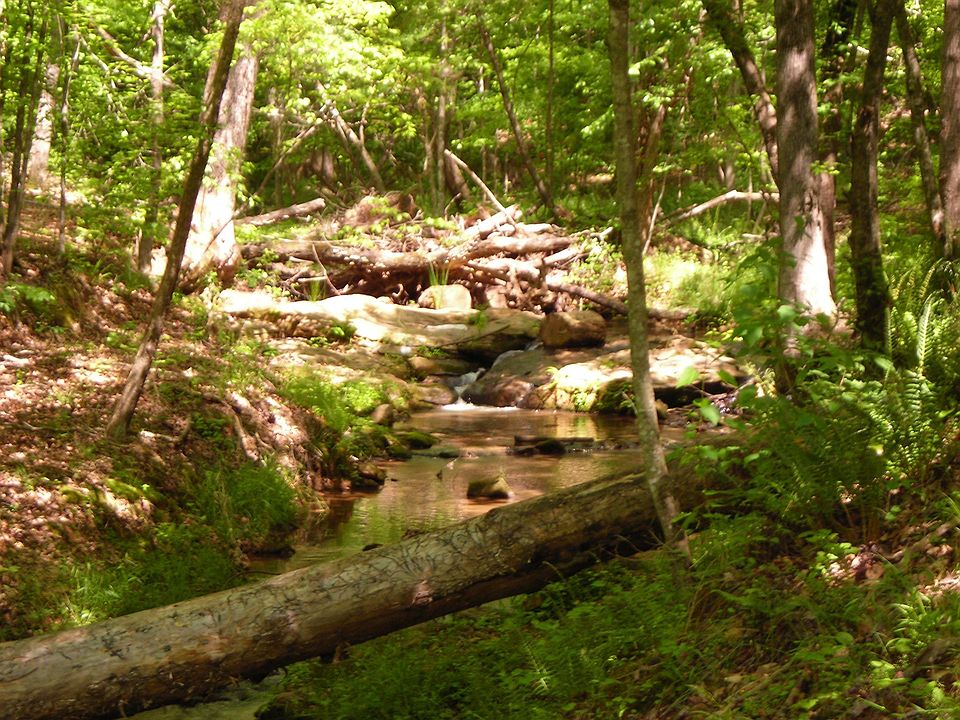 Creek to rear of home