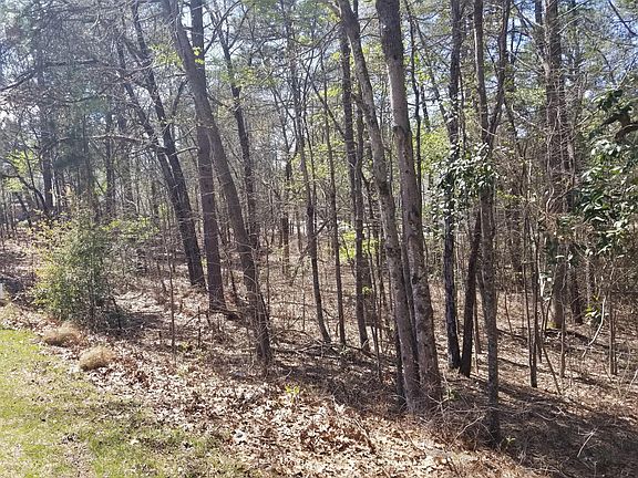 2nd image of Tbd Juniper Creek Boulevard