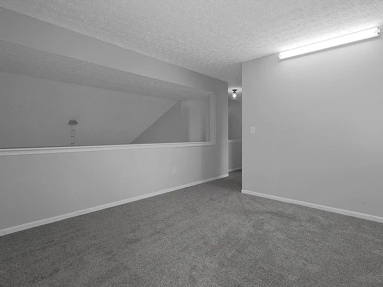 299 Iris Trail Dr — Photo 19