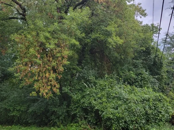 38046 N Harold Pl, Spring Grove, IL 60081