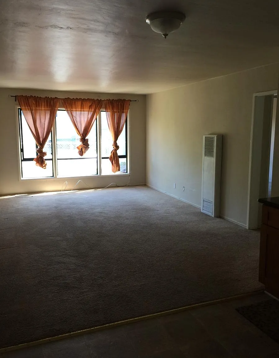 1 bed, 702 sqft, $3,800 — Photo 2