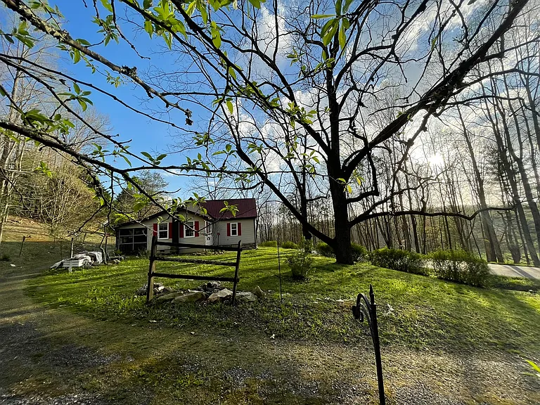 926 Lower Trackrock Rd — Photo 15