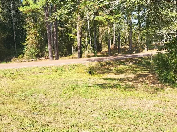 0 Lake Mike Conner Rd, Collins, MS 39428