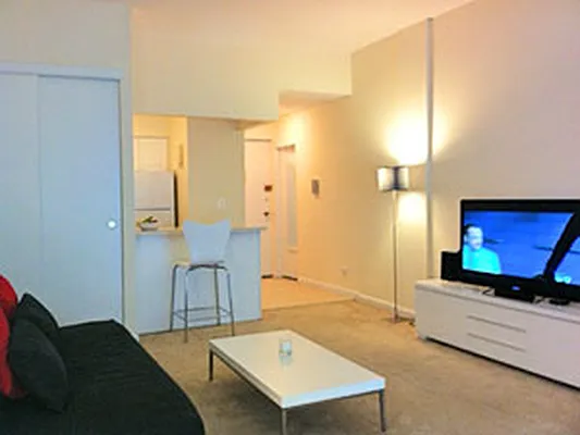 Rented by Manhattan Apartments | media 12