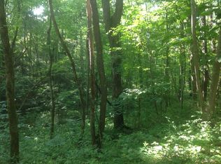 0 Hub Swafford Rd, Spring City, TN 37381