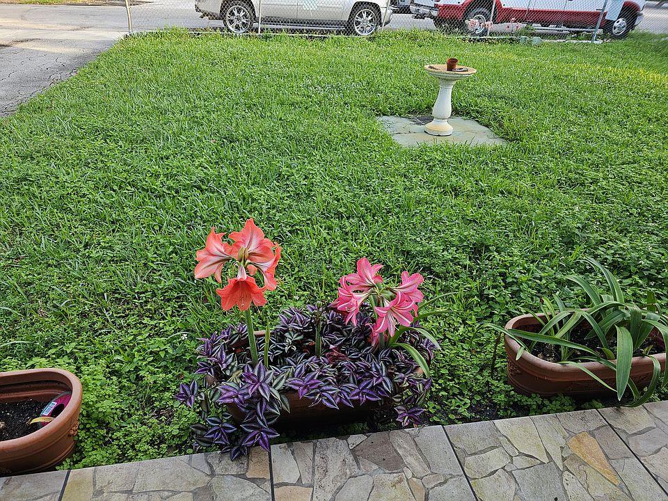Front of the house