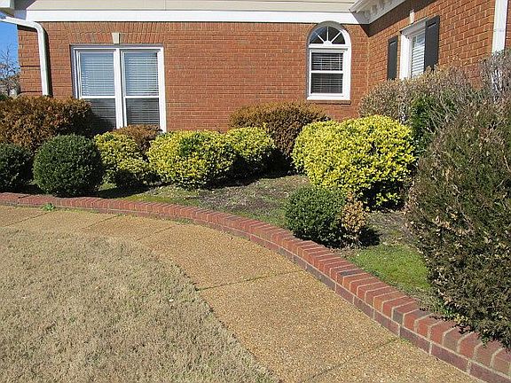 3rd image of 6574 Acree Woods Dr