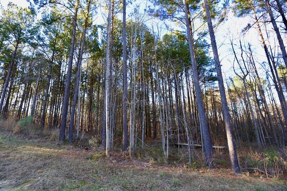 1st image of 17 Dogwood Dr