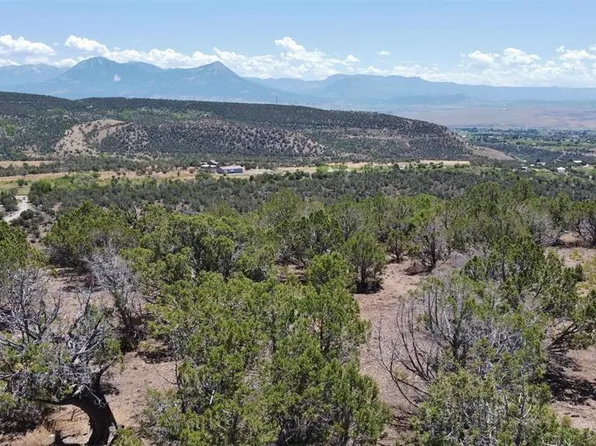 TBD Alon Road, Hotchkiss, CO 81419