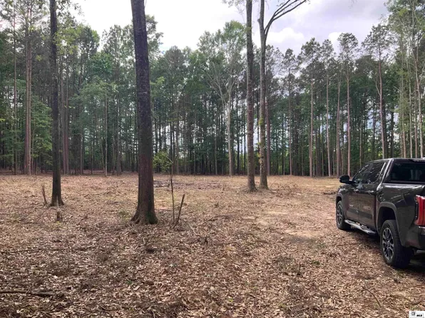 271 Dewberry Rd, Jonesboro, LA 71251