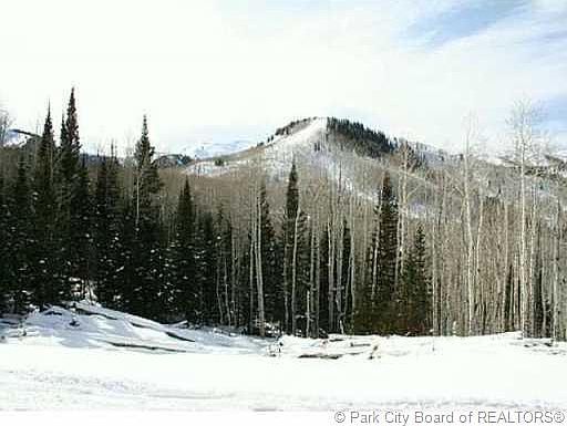 1st image of 213 White Pine Canyon Rd #213