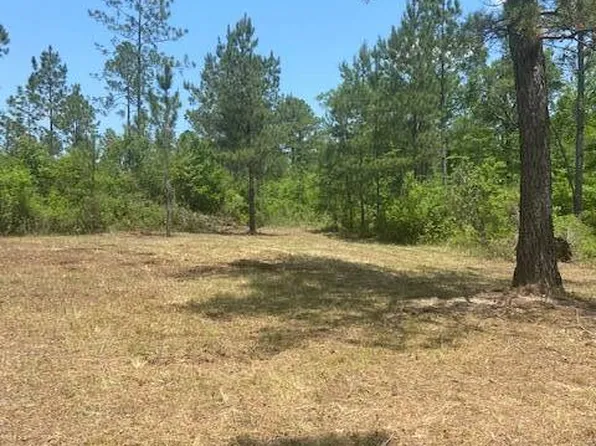 0 Happy Hill Rd, Mc Intosh, AL 36553