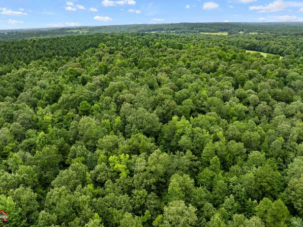 County Road 381 #D, Laneville, TX 75667