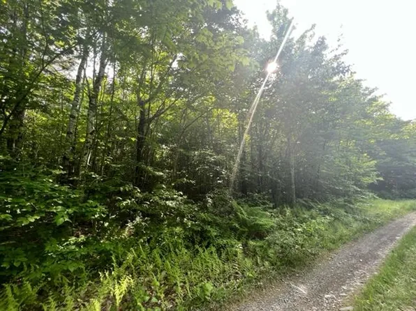 Lot 13-1 Lambert Lane, Linneus, ME 04730