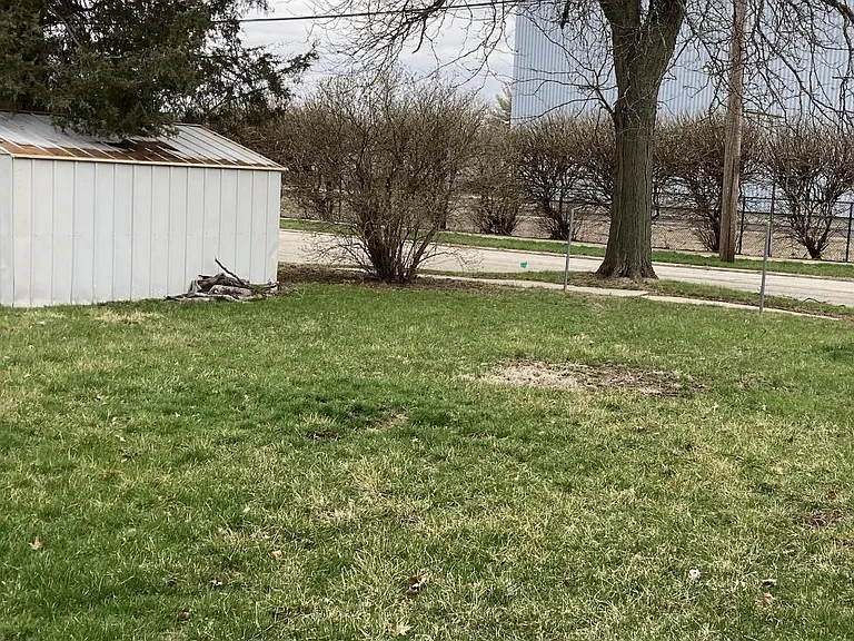 Nice size yard with shed and you have your very own apple tree