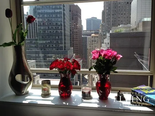 Rented by NY Living Solutions | media 34