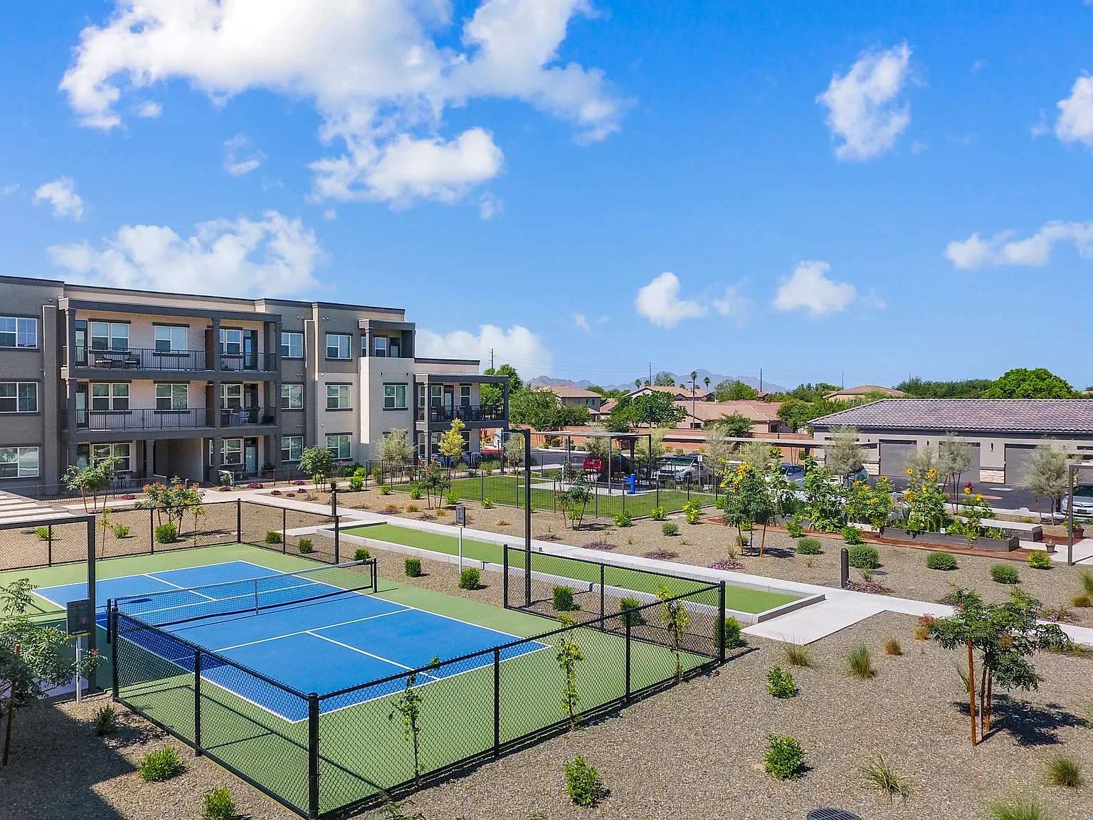 Amberlin Queen Creek 55+ Active Adult — Photo 2