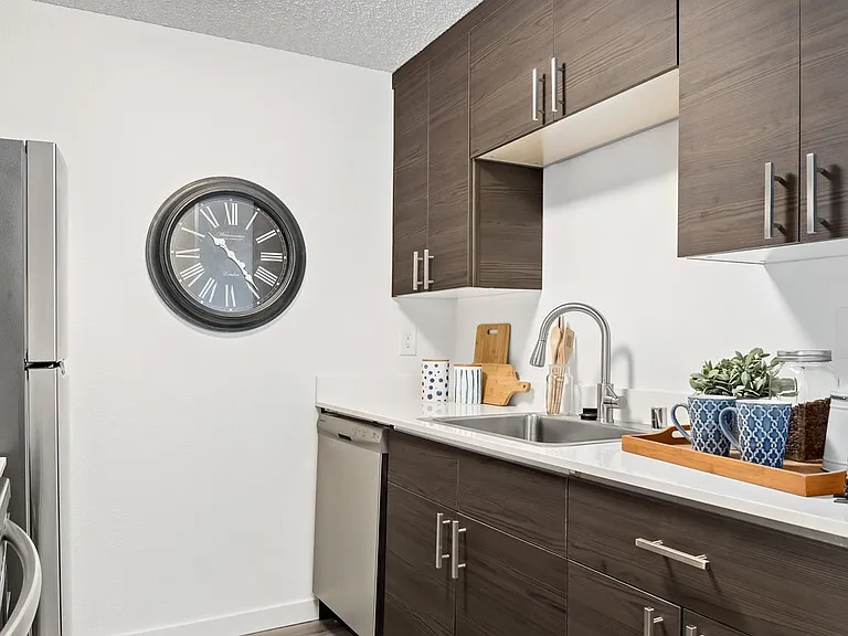 Canopy Apartments — Photo 13